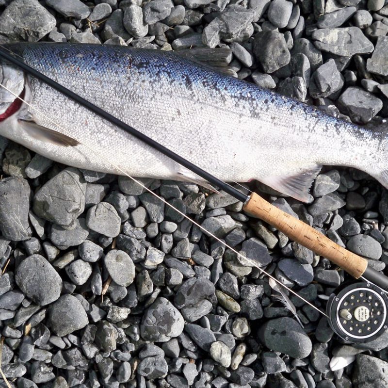 Salmon fishing on Lake Maree