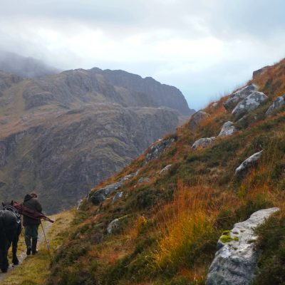 Stalking with ponies - hunting trips in Scotland