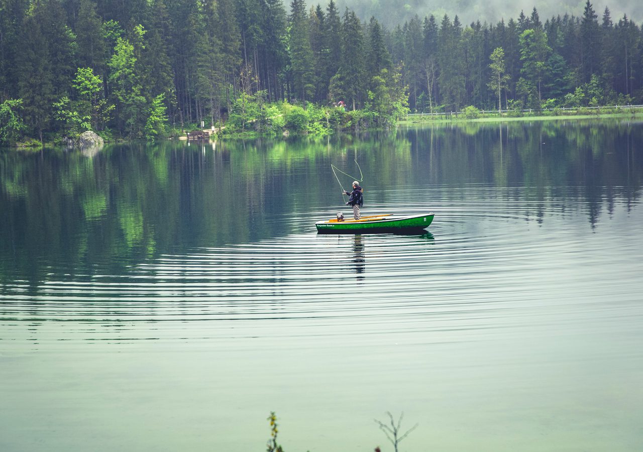 Fily fishing on Lake Maree
