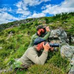 Experience camera stalking the in Highlands