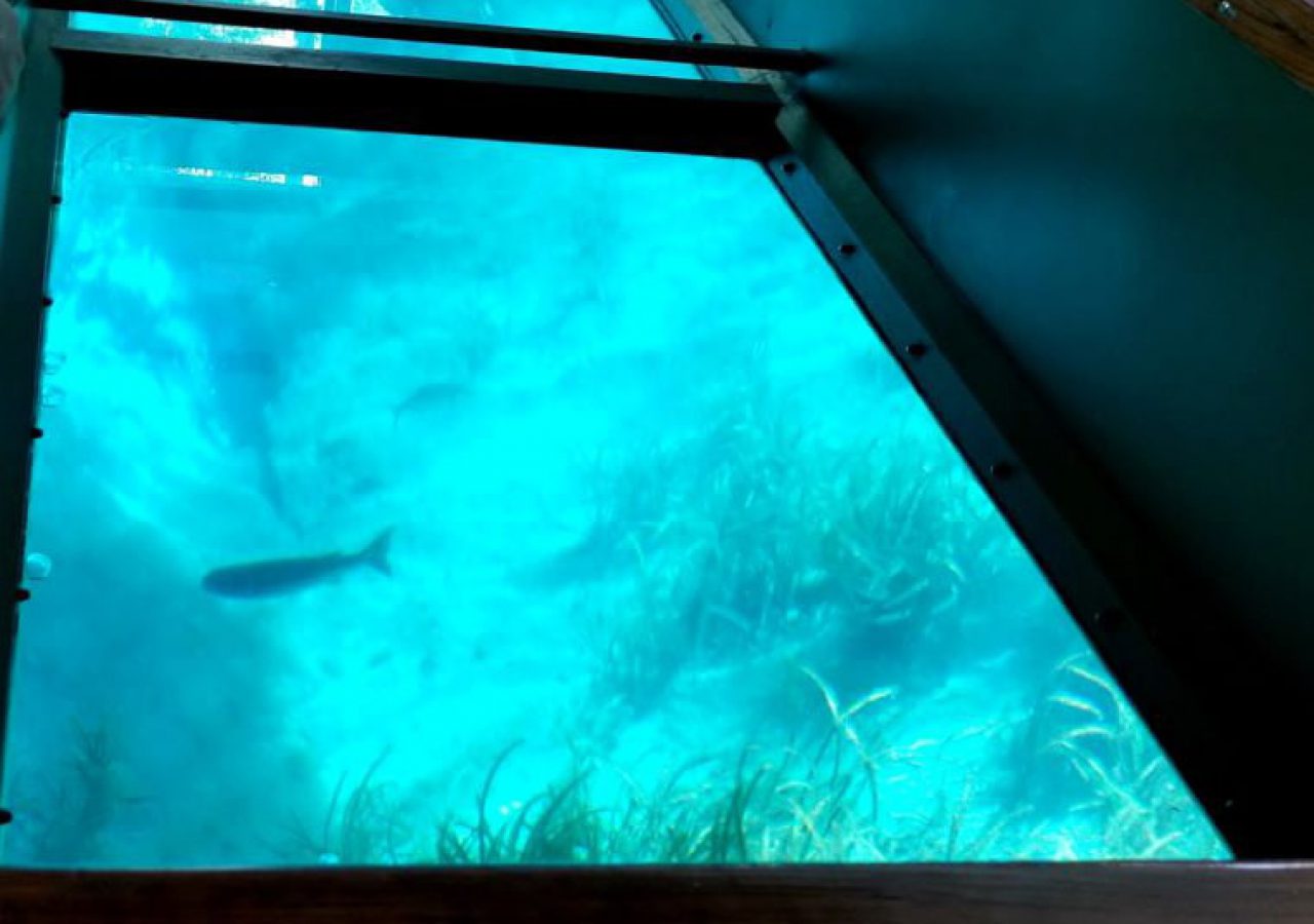 Glass bottomed boat Alice on Loch Gairloch
