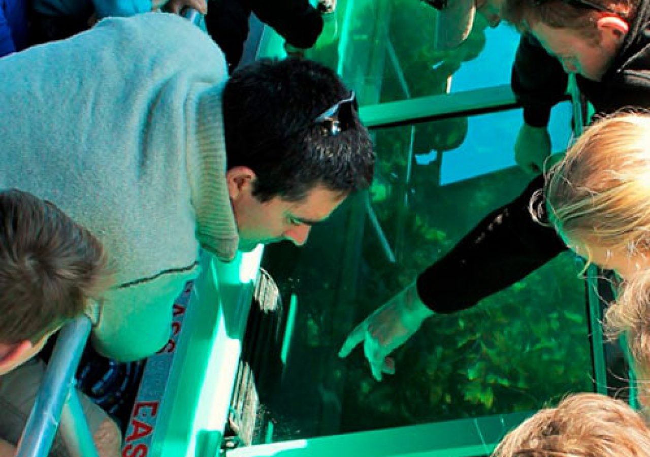 Glass bottomed boat Alice