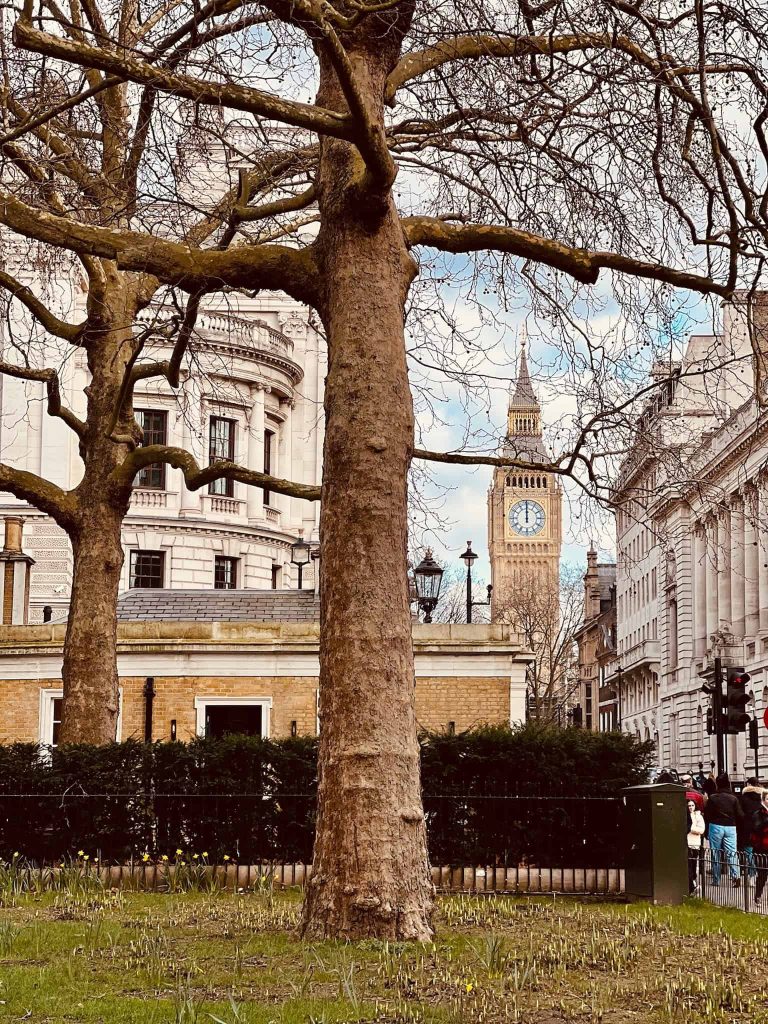 Where to Eat in London