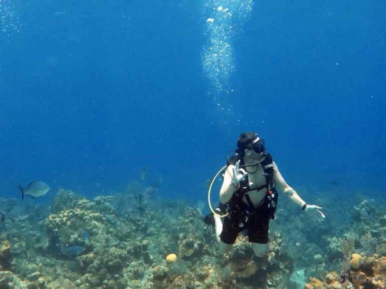 West Bay or West End Roatan? Your 2026 Travel Guide