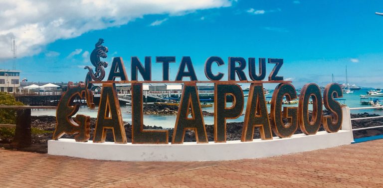How to Visit the Galápagos Without a Cruise