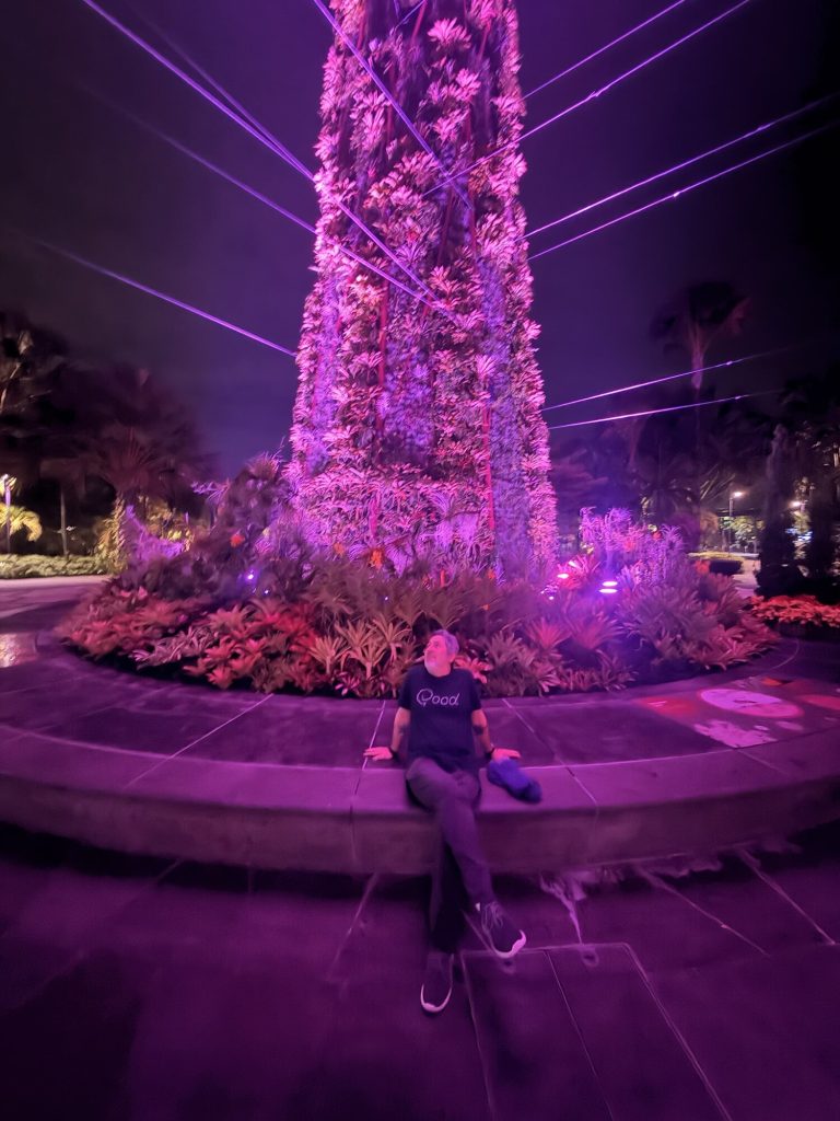 Tropical tree illuminated with vibrant purple and pink laser lights at night.