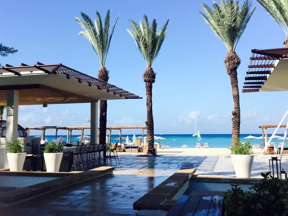 Scenic Caribbean beach with palm trees, lounge area, and ocean view for travel inspiration.