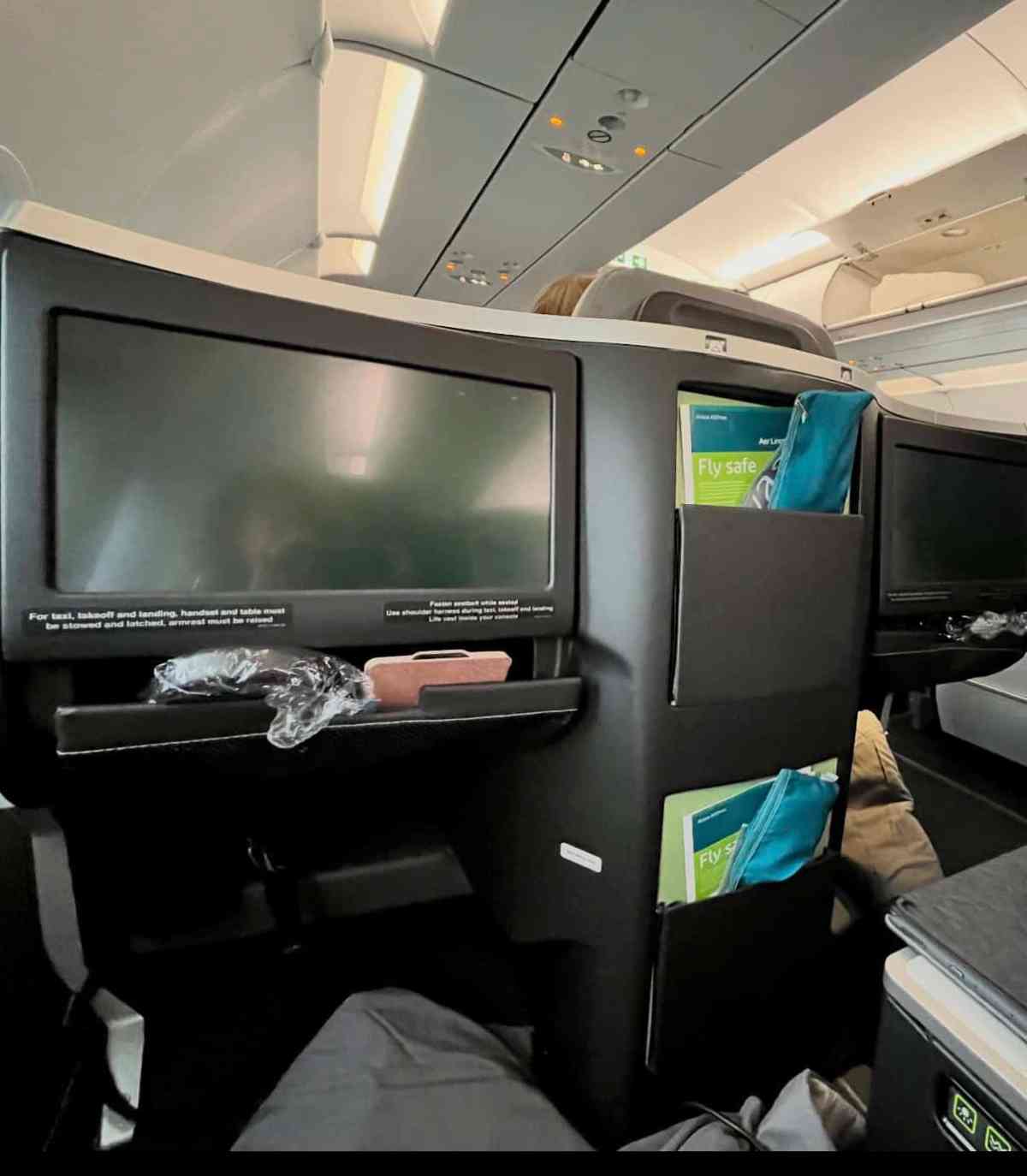 Airplane seatback with personal entertainment screen and storage pockets.