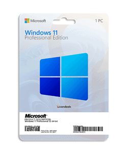 Windows 11 Professional IMG