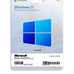 Windows 11 Professional