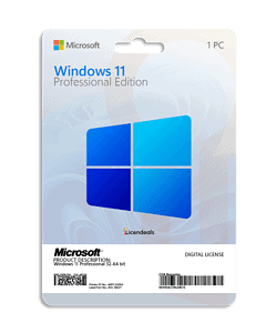 Windows 11 Professional Licendeals