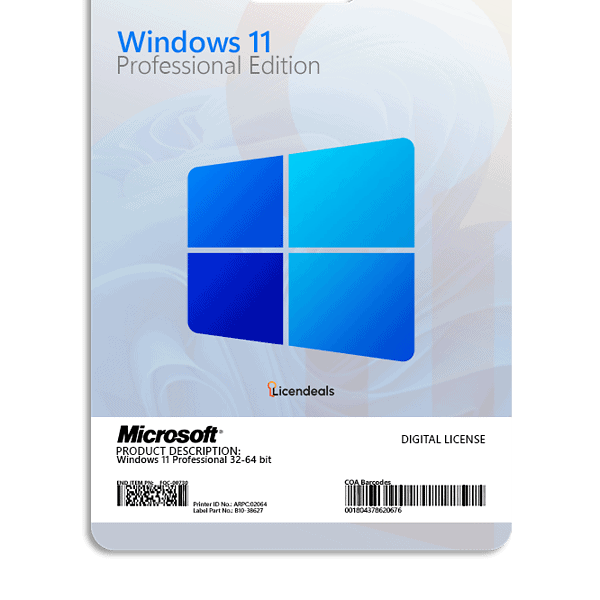 Windows 11 Professional