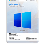 Windows 11 Professional OEM