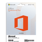 Office 2016 Professional Plus BIND