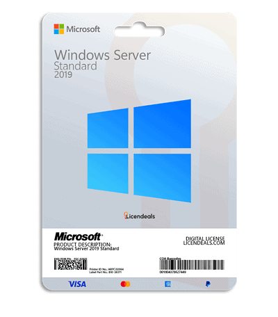 Windows Server 2019 Standard license for enterprise use.