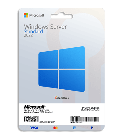 Windows Server 2022 Standard software license for enterprise use.