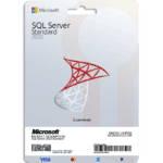 SQL Server 2022 Standard license for database management.