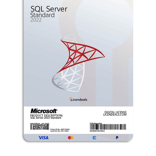 SQL Server 2022 Standard license for database management.