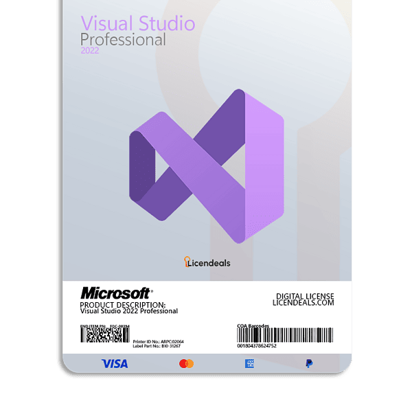 Visual Studio 2022 Professional license for software development.