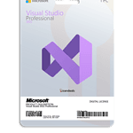 Visual Studio 2022 Professional