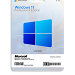 Windows 11 Professional 5PC