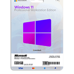 Windows 11 Professional Workstation