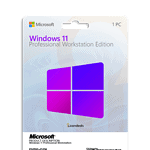 Windows 11 Professional Workstation