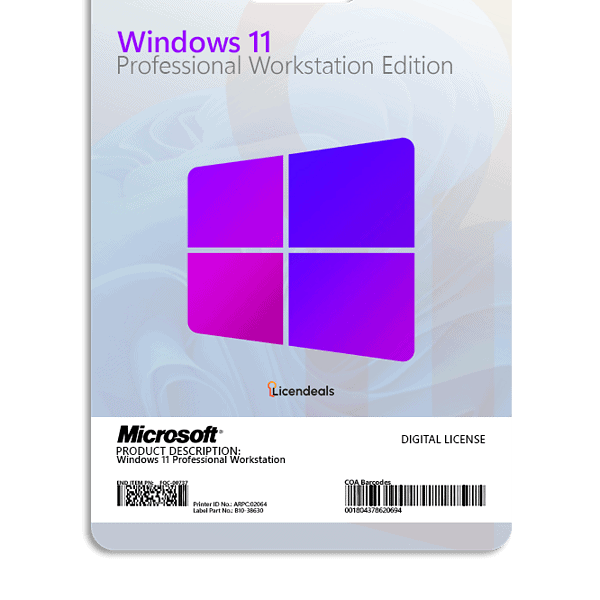 Windows 11 Professional Workstation