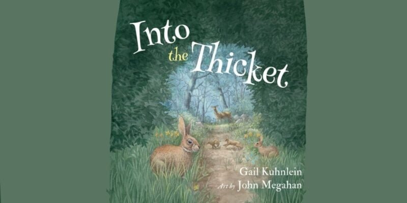 A rascally rabbit, clearly with more curiosity than sense, surveys its grassy kingdom at the edge of a path that winds decisively into a forest thick enough to have Opinions. Deer loiter conspiratorially on the trail, possibly exchanging woodland gossip under patches of blue sky threading through leaf-laden branches. Towering over all this intrigue are bold letters: *Into the Thicket*, along with the formidable names Gail Kuhnlein and John Megahan—offering an open invitation for rabbits (and their bookish allies) daring enough to risk a little adventure.