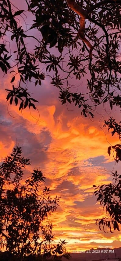 Vivid sunset sky with orange clouds and silhouetted tree branches.
