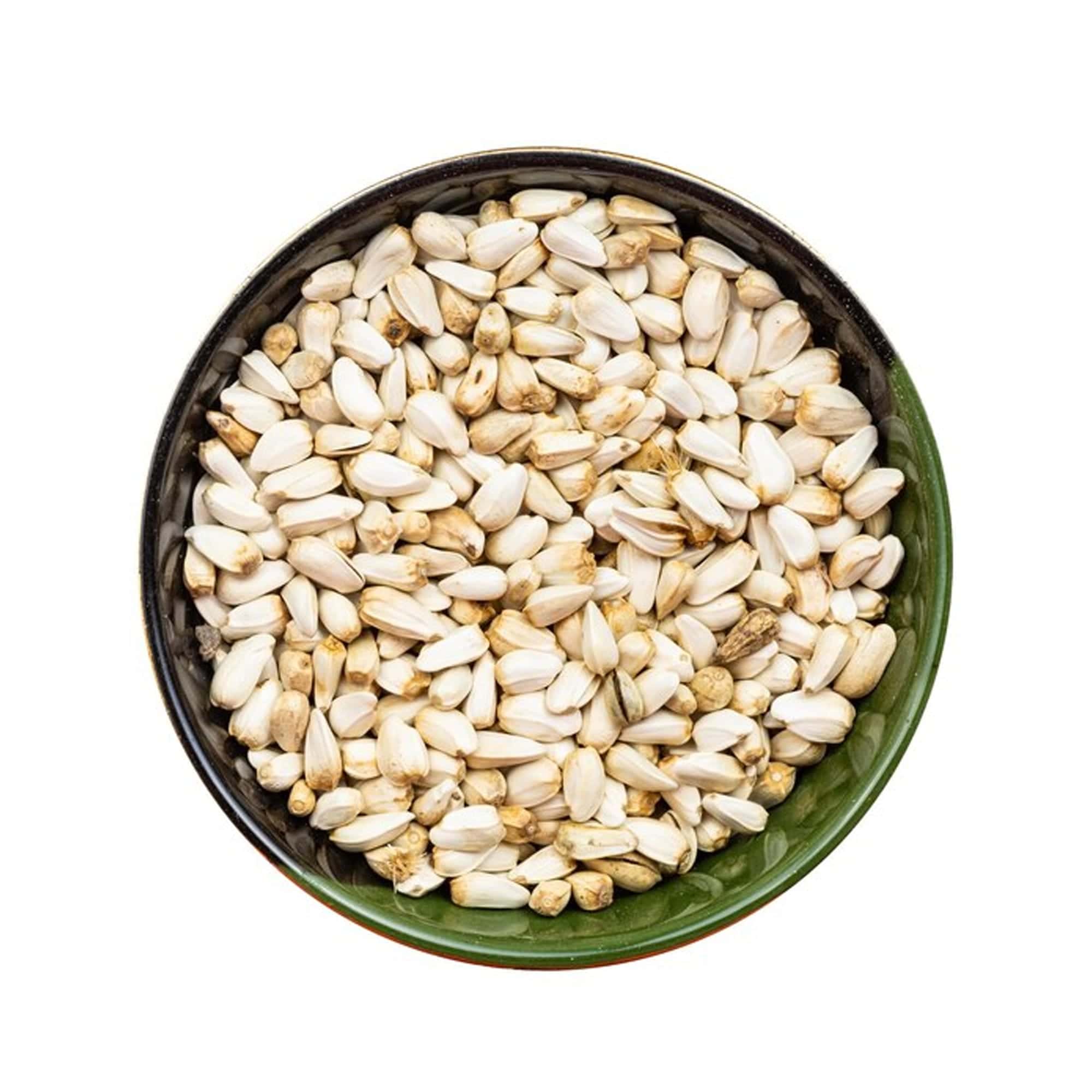 Bird feeder filled with safflower seeds for wild birds
