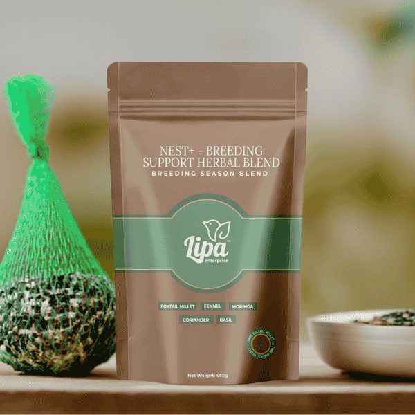 Moringa, Fennel, Coriander, and Basil to support fertility and recovery