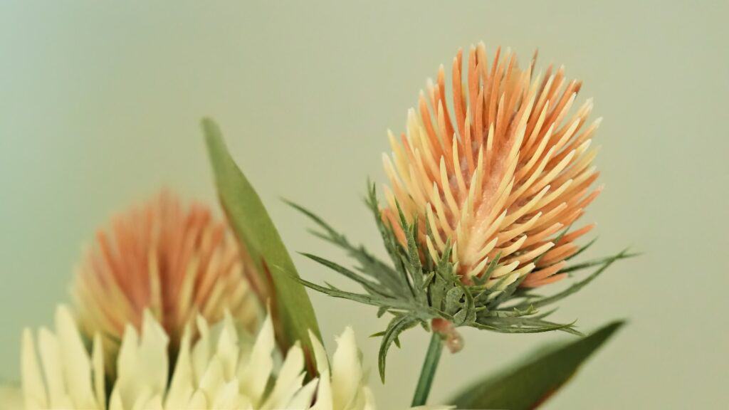Safflower Seeds for Birds – Natural Seed | LIPA Herbal Feed (950g) 8 Safflower