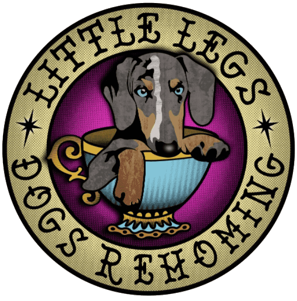 Little Legs Dogs Rehoming logo with dachshund in teacup