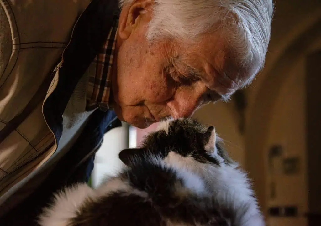Home care in Wheat Ridge, CO