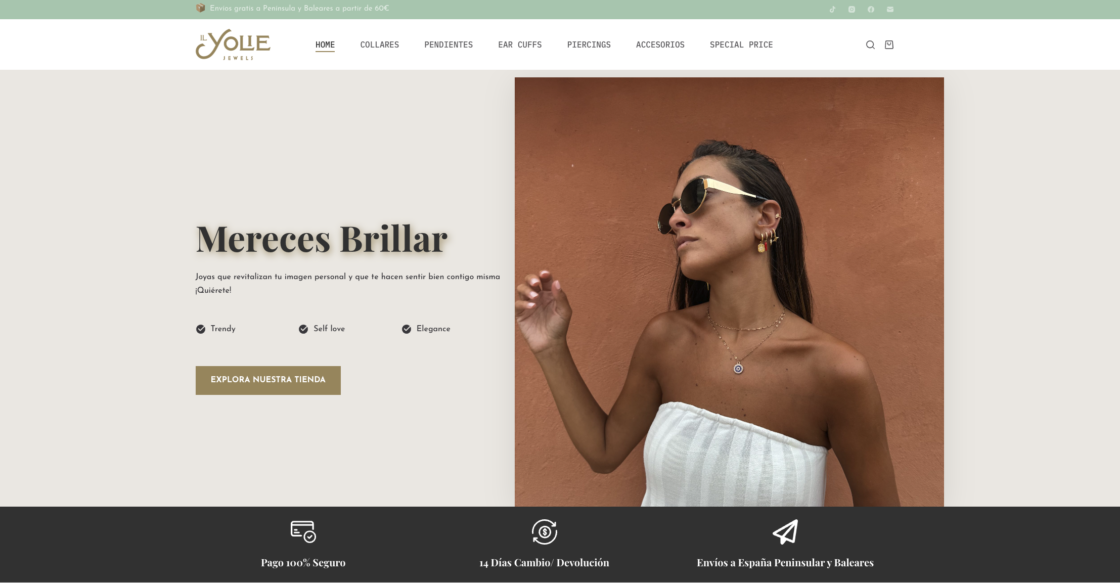 Muestra de Diseño de Página Web para e-commerce