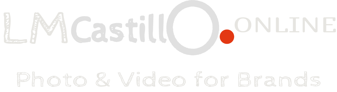 Logo lmcastillo.online en blanco