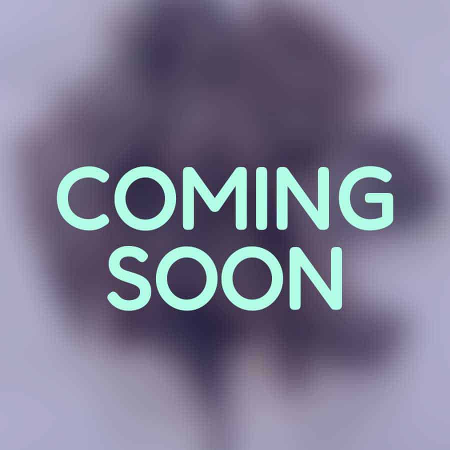 Beef Coming Soon Image