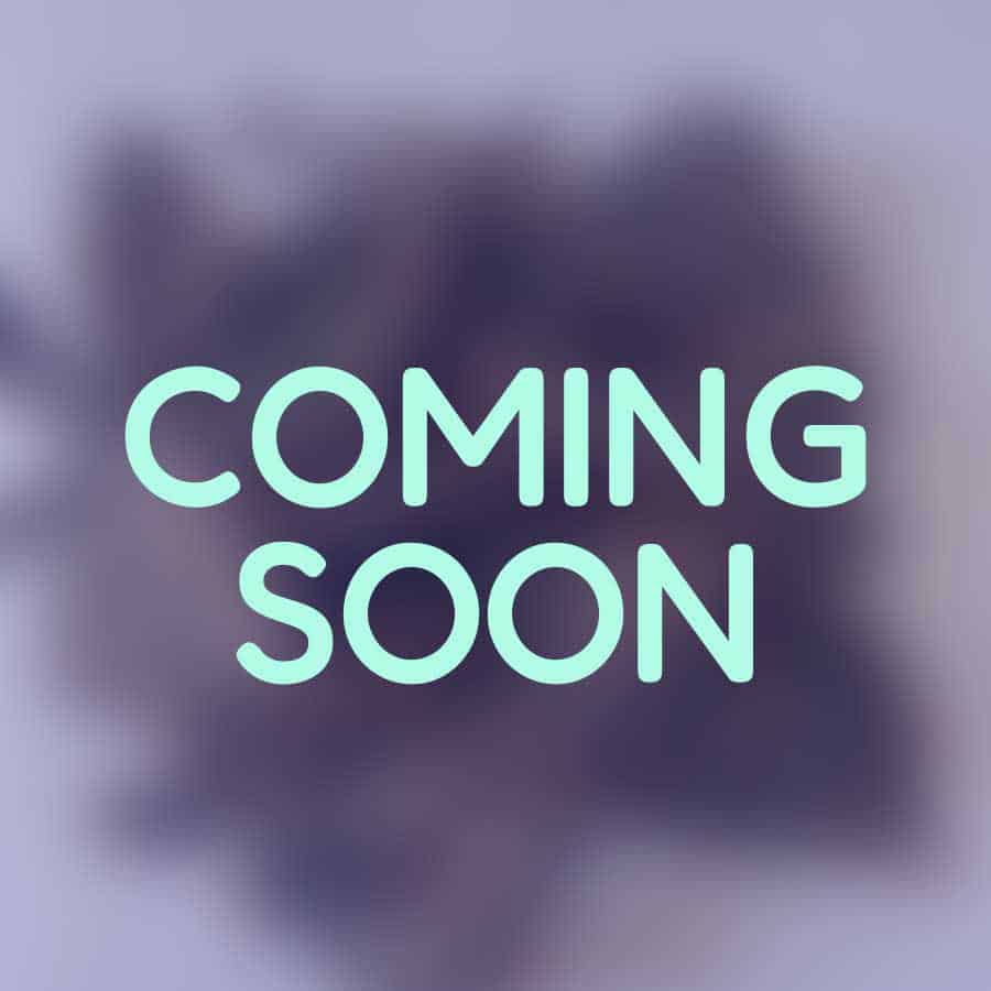 Lamb Coming Soon Image