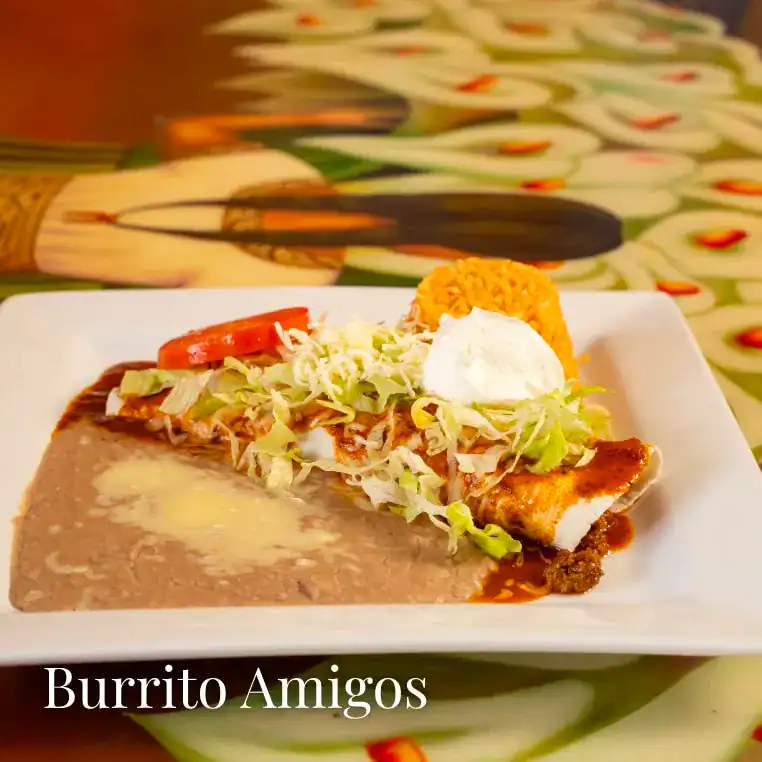Tasty Mexican burrito with lettuce, tomato, cheese, and sauce on a white plate.