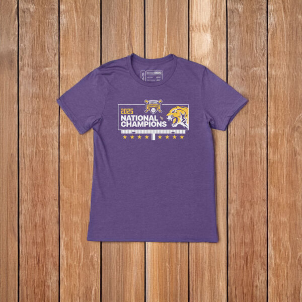 LSU Baseball 2025 National Champions T-Shirt
