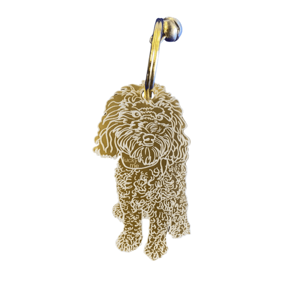 Lucky Labradoodle