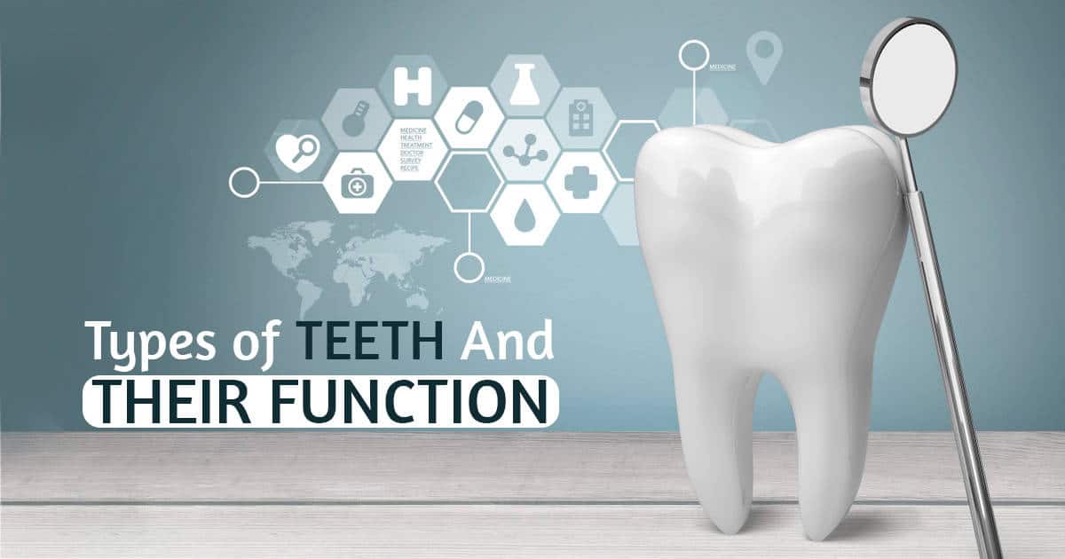 Tooth with dental mirror for oral health care, dental checkup, and treatment at Ludhiana Dental Centre.