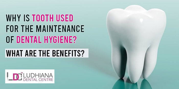 Tooth used for dental hygiene maintenance benefits – Ludhiana Dental Centre.