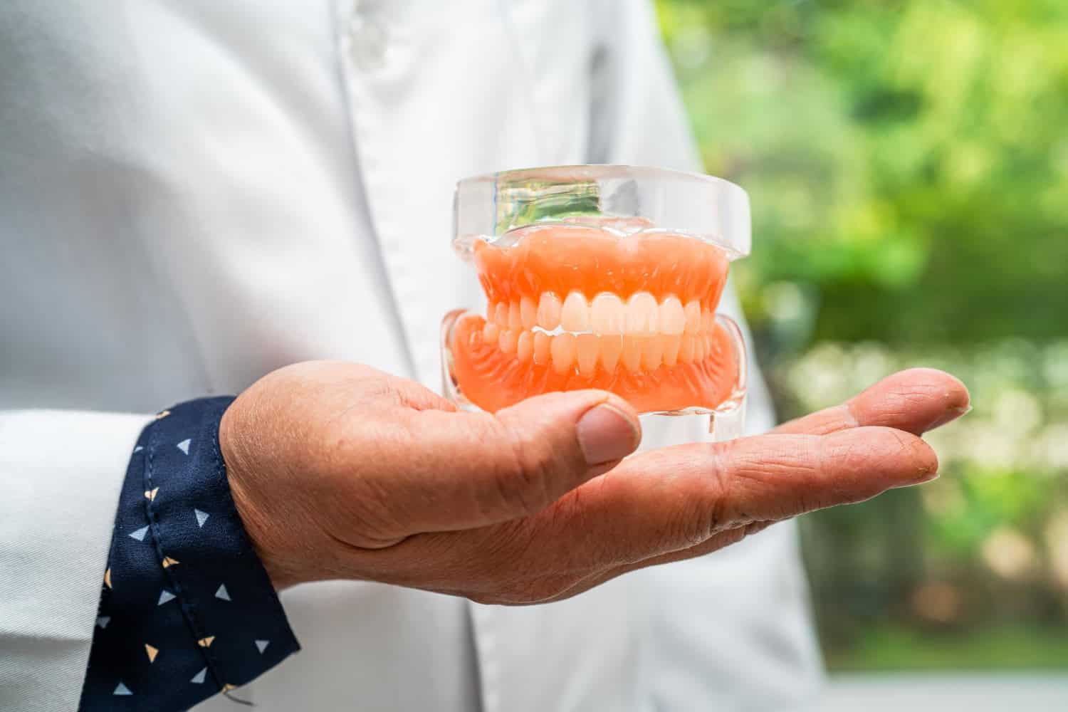 Vitreous dental prosthetic model held by dentist in outdoor setting.
