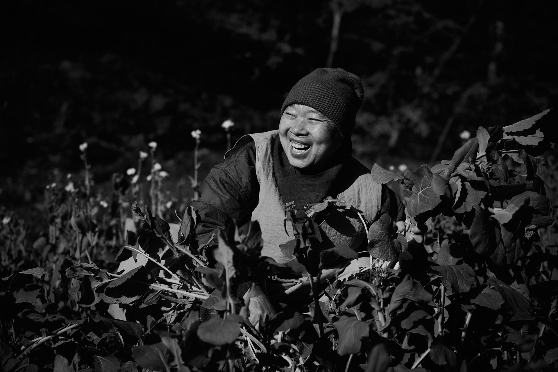 lukaslienhard_food_fotograf_zuerich_jeong_kwan_korea10