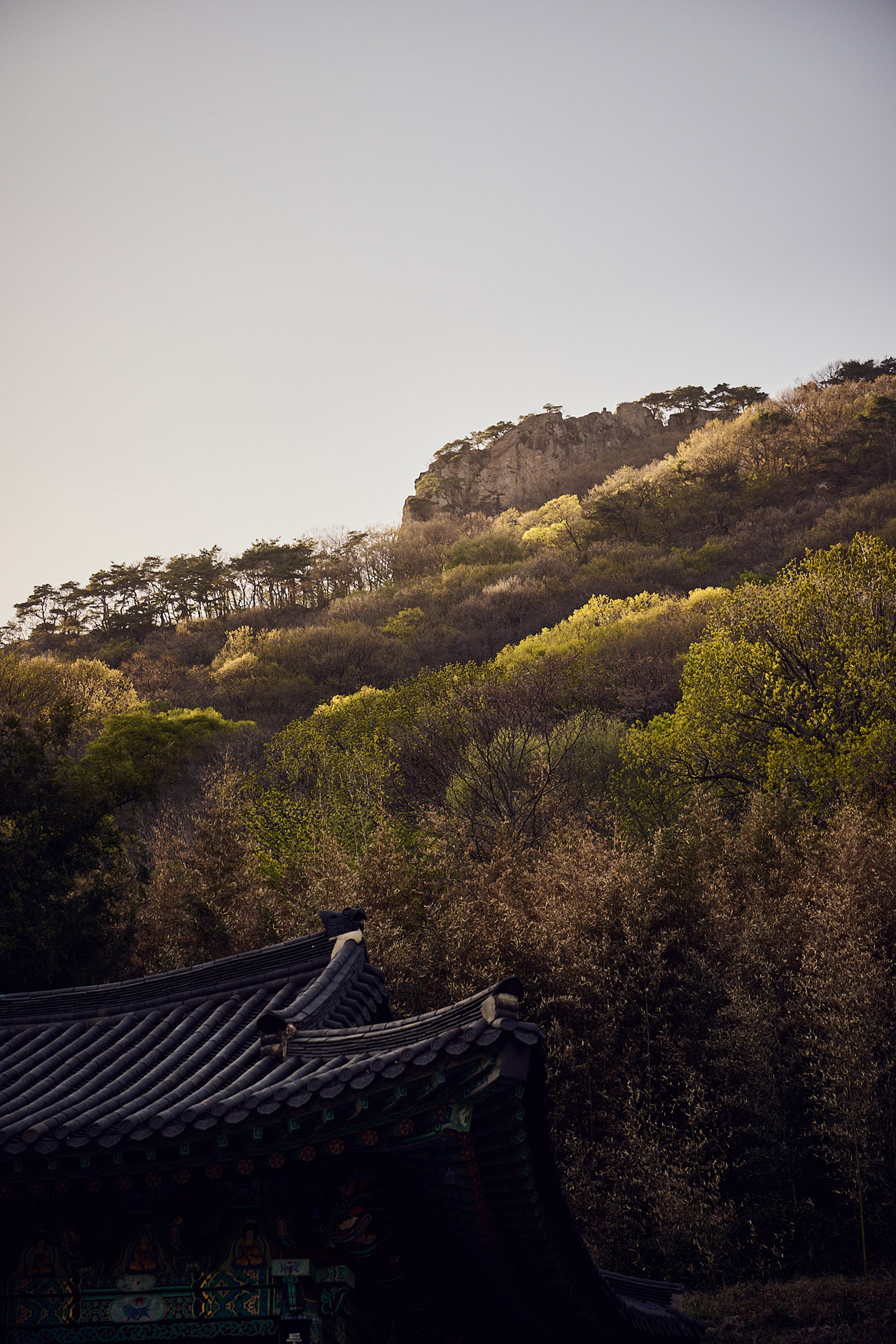 lukaslienhard_food_fotograf_zuerich_jeong_kwan_korea12