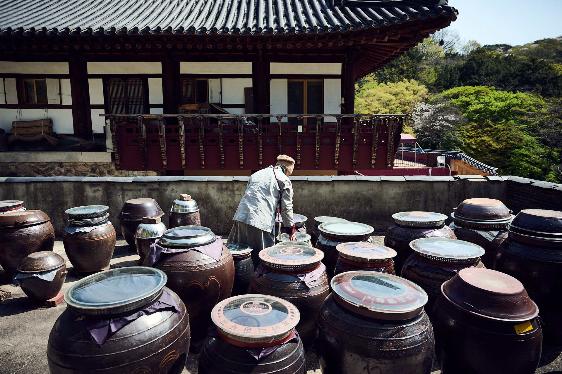 lukaslienhard_food_fotograf_zuerich_jeong_kwan_korea31