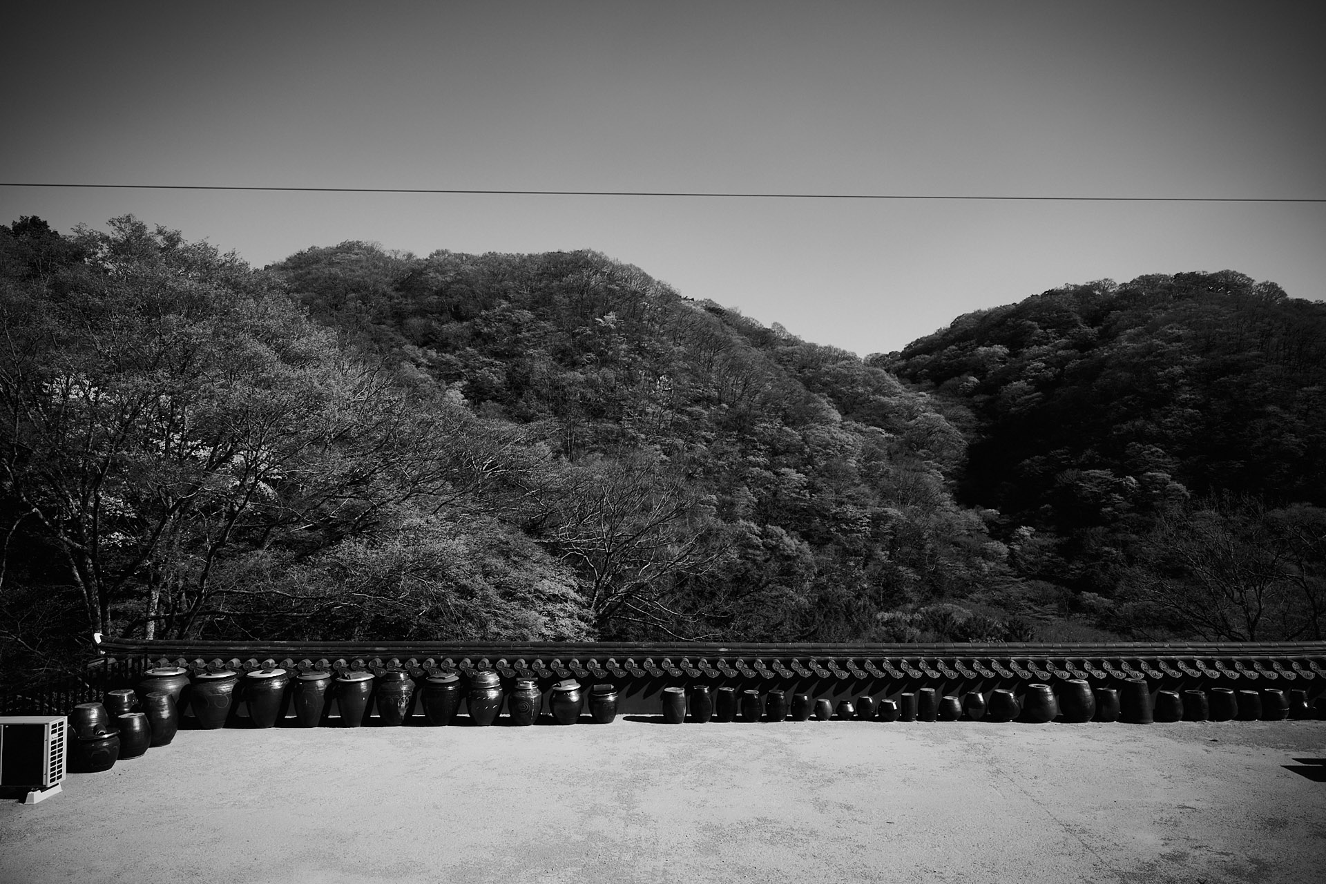 lukaslienhard_food_fotograf_zuerich_jeong_kwan_korea4