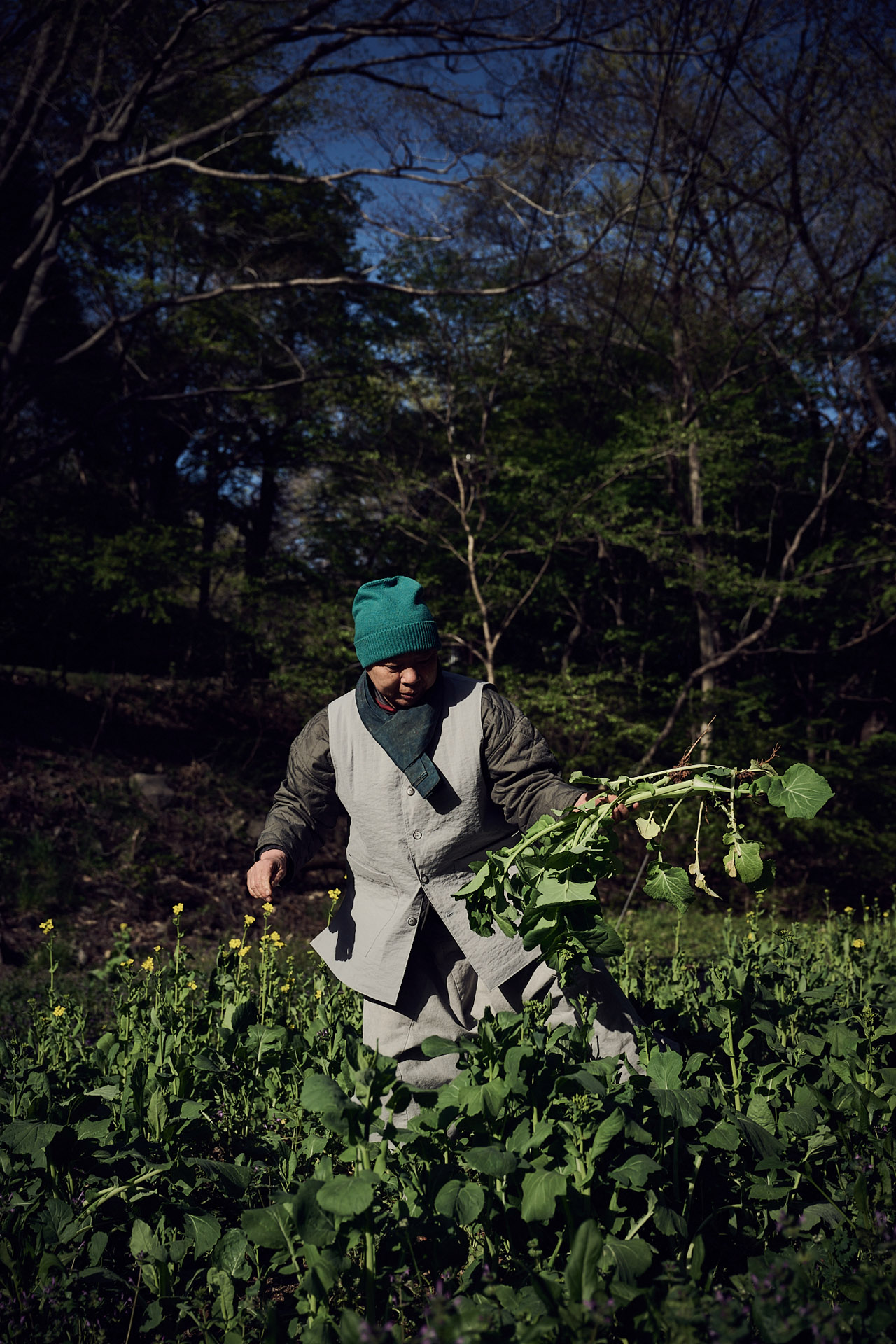 lukaslienhard_food_fotograf_zuerich_jeong_kwan_korea9